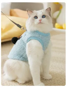 Primo piano dettagliato di un gatto carino che indossa un gilet in pile blu con guinzaglio.