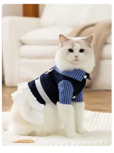 Süßes Herbst Winter Haustier Kleid kariert warmer zwei Beine Anzug für Katzen Hunde Welpen