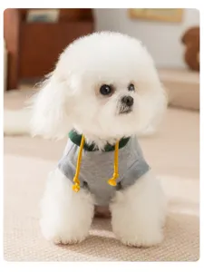 Cute grey pet hoodie with green collar and yellow drawstrings for small dogs and cats.