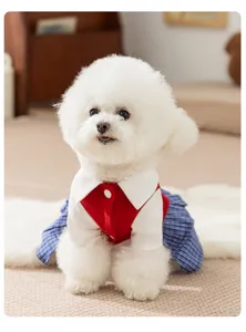 Detailed view of a cute puppy wearing a stylish red and blue plaid dress for pets.