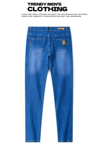 Men's blue slim fit denim jeans trousers, classic washed casual daily wear detailed back view.