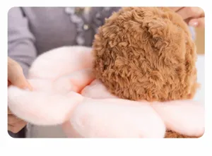 Close-up detail of cute flower bear plush toy, soft pink petal collar, fluffy brown texture.