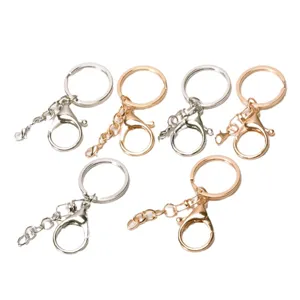 Ensemble d'accessoires de porte-clés en métal avec fermoir mousqueton pour bijoux artisanaux DIY.