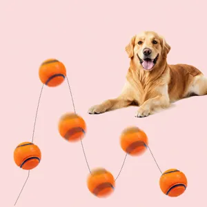 Balle rebondissante durable pour chien pour jeu interactif, nettoyage des dents et divertissement.