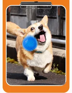 Pallina giocattolo per cani resistente con aculei per masticazione e gioco interattivo.