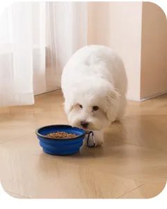 Portable collapsible silicone pet bowl, ideal for outdoor travel, feeding dogs with ease.
