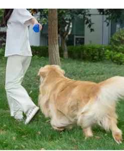 Jouet interactif pour chien en caoutchouc à picots pour le nettoyage des dents et jeu bleu