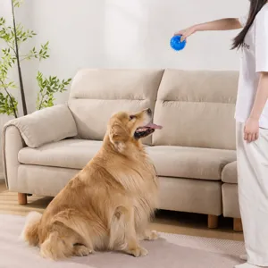 Jouet sonore interactif pour chien, balle à picots en caoutchouc pour chiot et mastication.