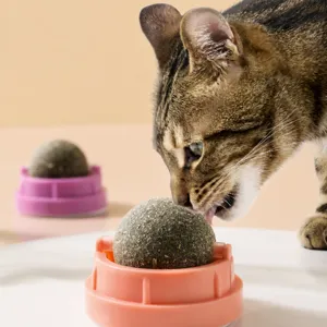 Jouet Balle d'Herbe a Chat Interactif Jouet pour Chat Rotatif pour Nettoyage des Dents