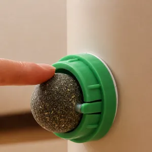 Jouet balle d'herbe à chat murale rotative interactive nettoyage des dents animal snack