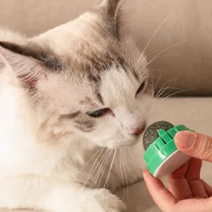 Jouet balle d'herbe à chat pour animaux de compagnie nettoyage des dents rotatif interactif.