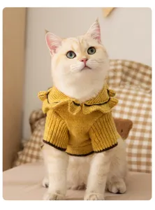 Detailed shot of a cute pet cat wearing a cozy yellow knit sweater with stylish ruffled collar.