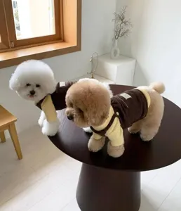 Detailansicht süßer kleiner Hunde in warmer Winter Hundekleidung aus braunem Cordstoff.