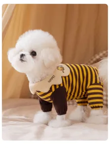 Detaillierte Nahaufnahme des Hundes mit warmer gestreifter Bienen Kleidung mit Kragen.