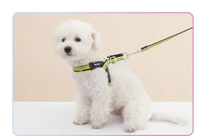 Breathable dog harness and leash set for small dogs puppy walking outdoor safety reflective.