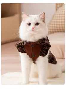 Scatto dettagliato di camicia per animali a quadri rétro con volant e bottoni carini, stile gatto.