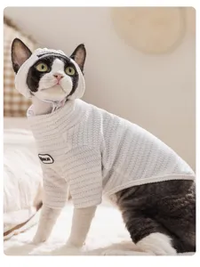 Primer plano de lindo gato con jersey de rayas para mascotas y gorro a juego en interior.
