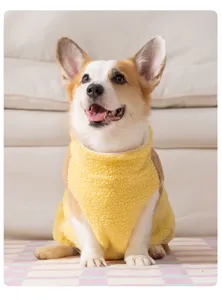 Vista dettagliata di un simpatico corgi con gilet in pile giallo per il caldo autunnale.