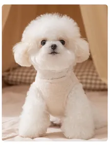 Primo piano dettagliato di un gilet in morbido pile per cani color crema, accogliente.