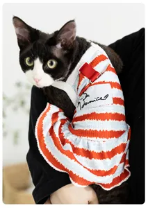 Süßes Sommer Streifen Katzenkleid Haustier Trägerrock für Nacktkatzen und kleine Haustiere