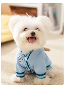 Niedlicher blauer Haustierpullover mit LUCKY-Aufnäher für kleine Hunde, stilvolle Hundebekleidung.