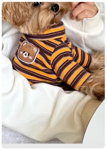 Primo piano dettagliato dei vestiti per animali carini con righe e toppa di orsetto adorabile.