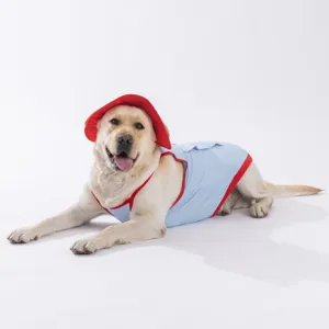 Hundekühlweste Detailaufnahme, atmungsaktive Sommer Haustierbekleidung mit Mütze für große Hunde.