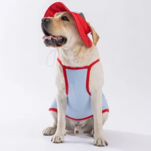 Detailansicht der Sommer Hundekühlweste mit passendem Hut, atmungsaktives Material für Hunde.