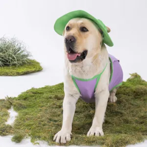 Nahaufnahme des Hunde Kühlwestens und passenden grünen Hütes auf Moos Hintergrund im Studio.