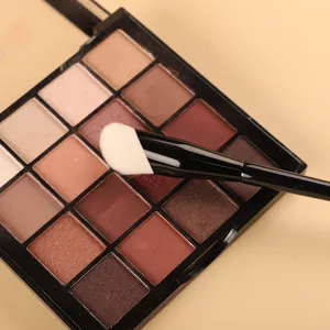 Professional multi-color eyeshadow palette with soft makeup brush for daily eye makeup.