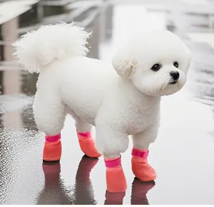 Close-up of cute dog wearing waterproof candy-colored non-slip pet shoes for outdoor walks.