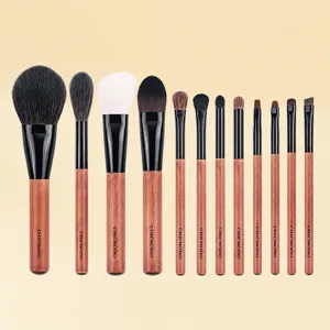 Kit de Pinceaux de Maquillage Professionnel Manche en Bois Poil d'Animal et Fibre Synthétique Pinceaux Cosmétiques Outils de Beauté