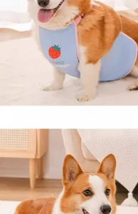 Waterproof cute strawberry print Corgi belly wrap dog clothes for summer season.