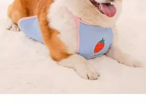 Detailed shot of waterproof dog belly wrap with cute strawberry print for small pets.