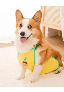 Waterproof dog belly wrap with cute pineapple print for small and medium dogs and corgis.
