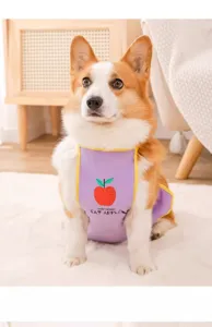 Detailed view of cute pet dog waterproof belly wrapper apparel with apple graphic and text.