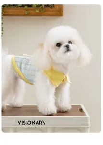 Détail de polo respirant pour animal avec joli chien mignon au design estival coloré.
