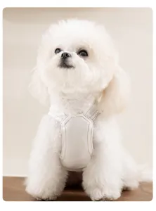 Grazioso gilet con imbracatura per cani bianchi per cani di piccola taglia, abbigliamento per animali.