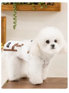 Stile coreano simpatico estate cane denim gilet gonna animale domestico vestiti outfit