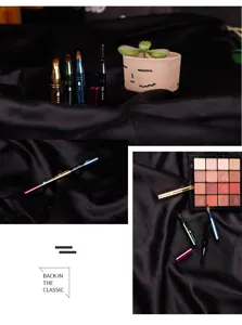 Kompaktes 4-in-1 Multifunktions Make-up Pinsel Set mit Metallgriff für Augen und Lippen.