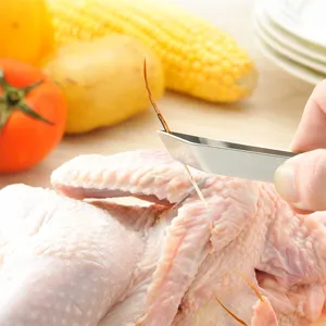 Stainless steel poultry hair plucking tweezer, precision kitchen tool for chicken and fish bones.