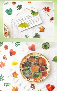 Pacchetto adesivi per foglie PET impermeabili decorative fogliame autunnale fai da te creativo