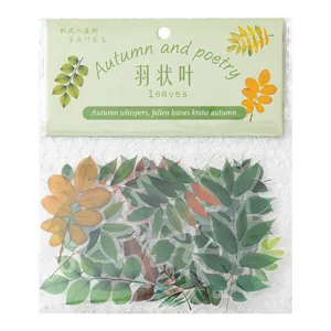 Confezione adesivi PET foglie autunno impermeabile diario scrapbooking fai da te decorazione foto