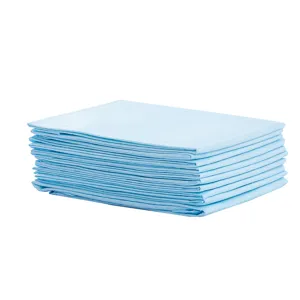 Tapis pipi jetables pour animaux de compagnie, coussinets d'entraînement super absorbants.