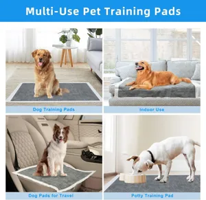 Tapis d'entraînement lavables pour chiens, alèses absorbantes pour intérieur et voyage.