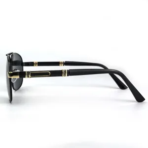 Vue latérale détaillée de lunettes de soleil homme rétro à double pont et détails dorés.