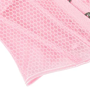 Rosa Mesh Korsett Top Detail, atmungsaktives Wabenstoff, perfekt für Sommer Shapewear.