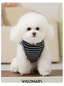 Detail shot of a cute small dog wearing a blue and yellow striped pet vest, soft texture.
