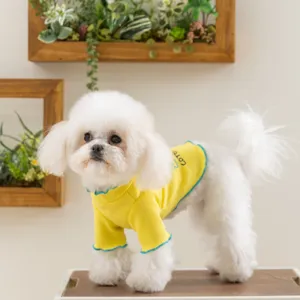 Gedetailleerd overzicht van een hond in een geel geribbeld huisdier T-shirt met blauwe volant.