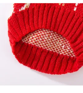 Primer plano detallado del suéter de punto rojo para mascotas, tela de invierno.